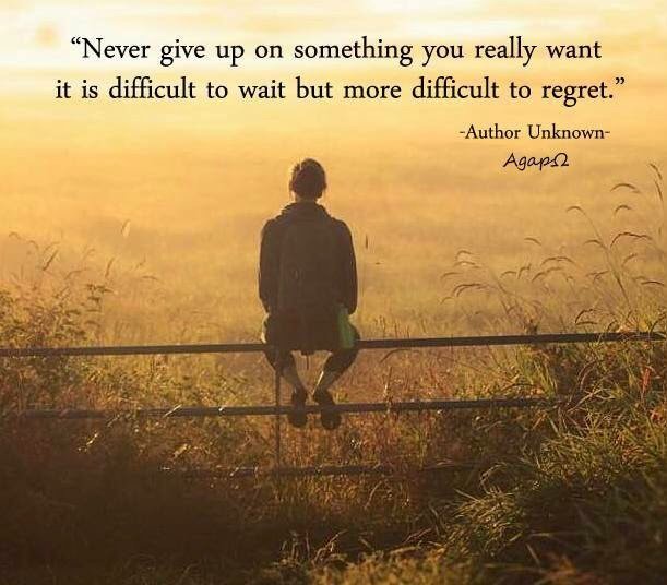 PicQuoter's tweet photo. Never give up.. https://t.co/DbyzfykrMr