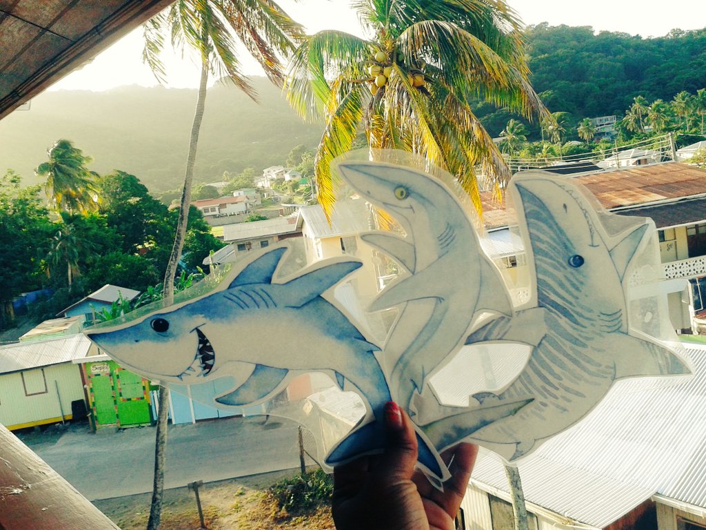 CaribSharkDef's tweet photo. @TheSharkStanley and friends excited to their day on the island of Carriacou!@CaribSharkDef  @GrenadaEcoDive https://t.co/7rp4pYdS8d
