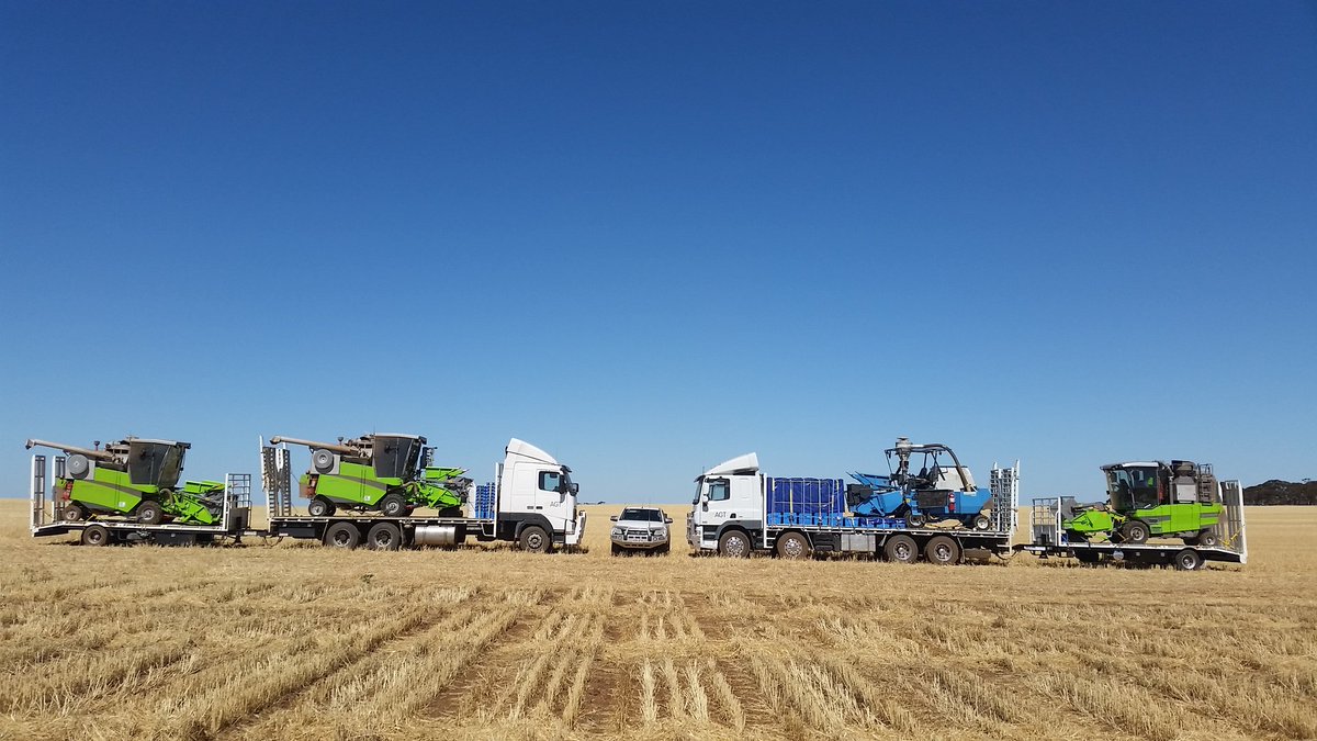 Rowan Prior tweet media