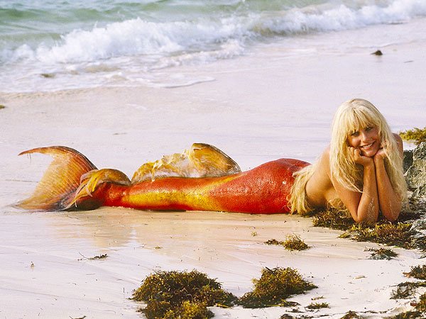 She\ll always be \"Madison\" to me, HAPPY BIRTHDAY Daryl Hannah! She is 55 today! 