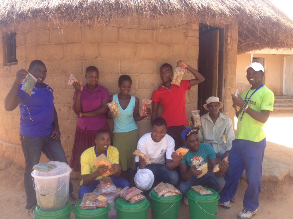 YoungFarmersLab's tweet photo. #innovation + #sustainableagriculture = added value in agrivaluechain @duevel_cha @UNDP_innovation @UNDPZimbabwe https://t.co/i2CMptDlNZ