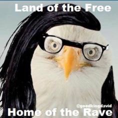 Polysonik tweet media