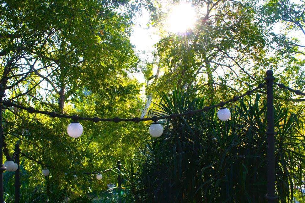 OGSEllen's tweet photo. Maria Luisa Park #SJUglobal #StudyAbroad https://t.co/wCcZa3XZYs