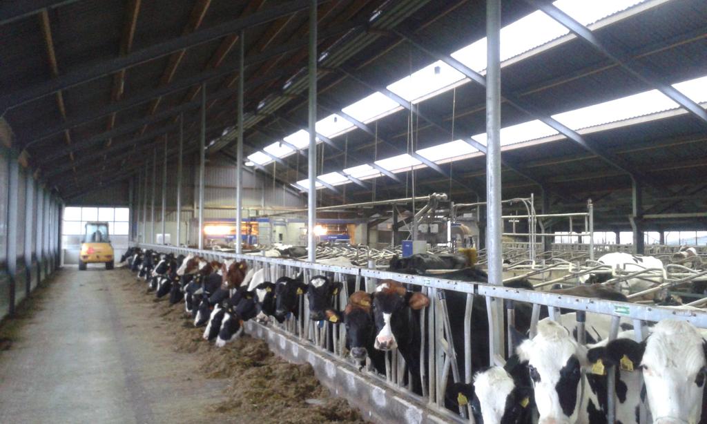 Simon_de_Haan's tweet photo. Leuk! #VMS #PerformanceScan bij oud-klasgenoot @CAH_DierEnVee 2x VMS en HN https://t.co/Z5AJEe7see