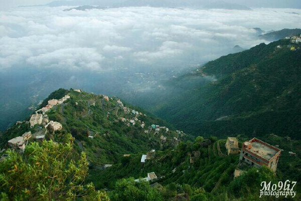 #كلنااااا_في_ضهرك_يا_اهلي
ربما لن تصدق أن هذه الصورة الرائعة في السعودية - فيفاء 
OF6