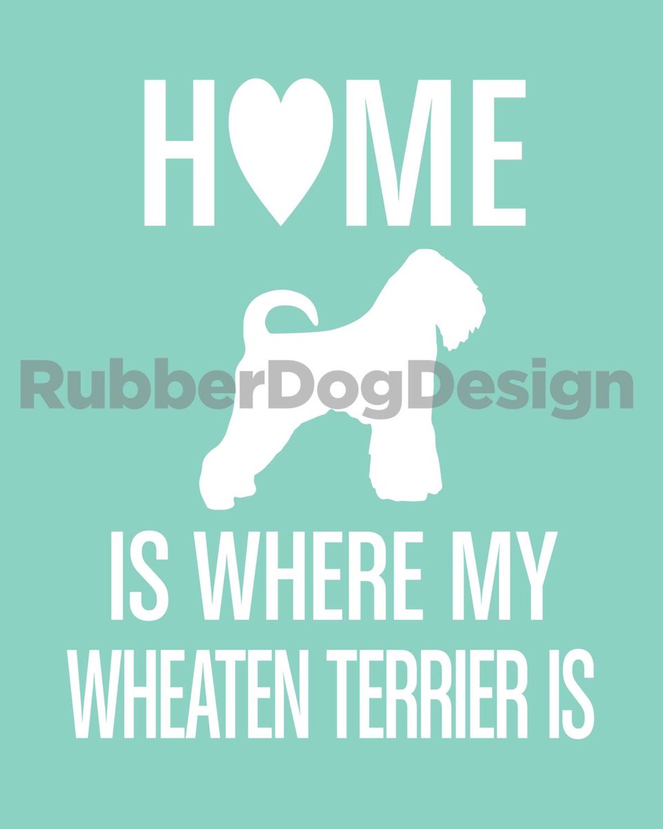 rubberdogdesign's tweet photo. HOME IS WHERE MY WHEATEN TERRIER IS  - 8 Instantly Downloadable Prints by RubberDogDesign https://t.co/1PSJMfj0cF https://t.co/4NPBsqd6ZX