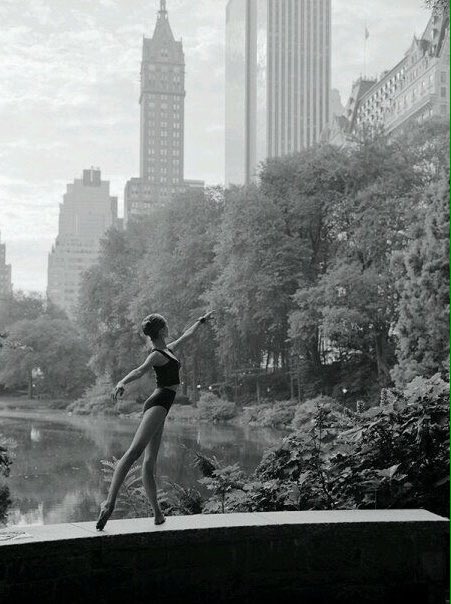 Link permanente da imagem incorporada