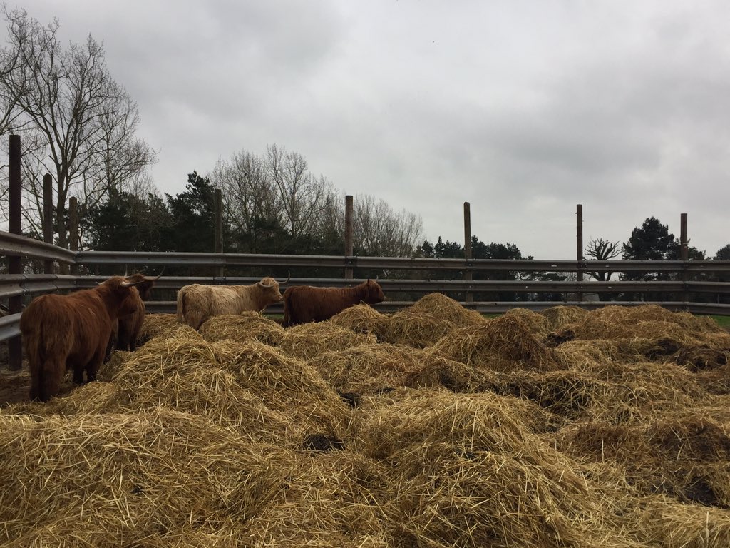 EastonOtley Farms tweet media