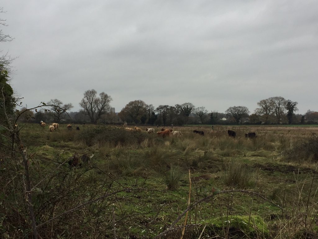 EastonOtley Farms tweet media