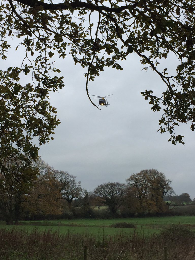 EastonOtley Farms tweet media