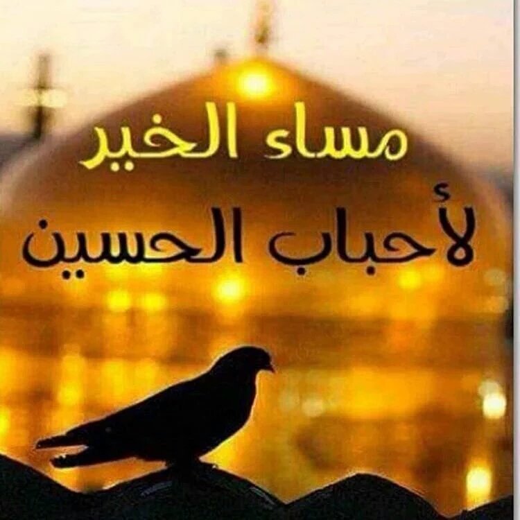 يارب لاتحرمني من زيارة الحسين واخيه العباس