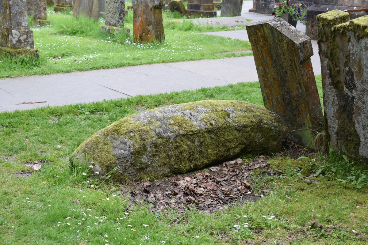 NBSCLTD's tweet photo. #Conservation #Hogback  not be possible w/o support of @lomondtrossachs @welovehistory Luss&amp;https://t.co/UoZOtnGBXm https://t.co/y36OdhJXYd