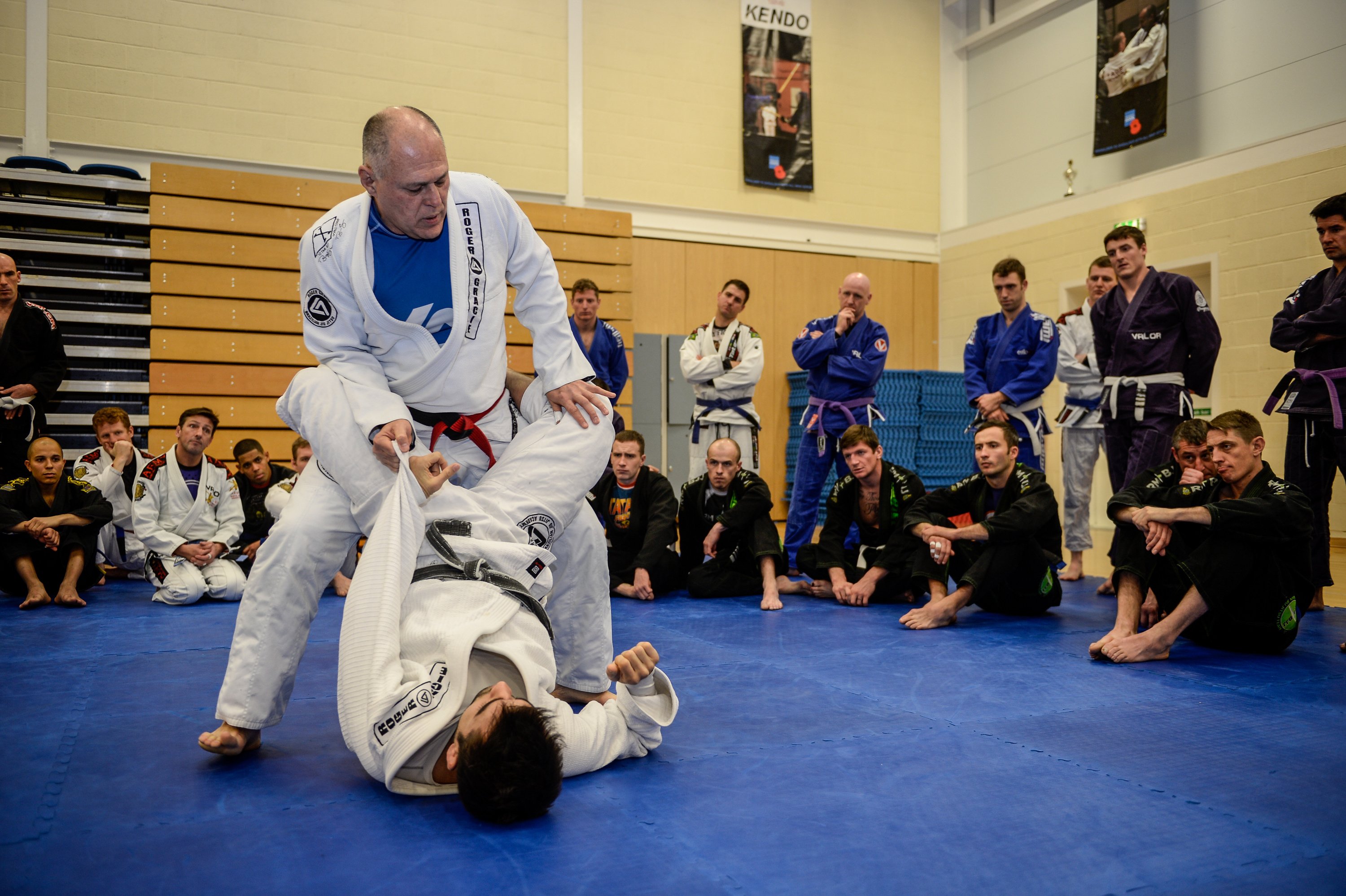 Mauricio gomes bjj top