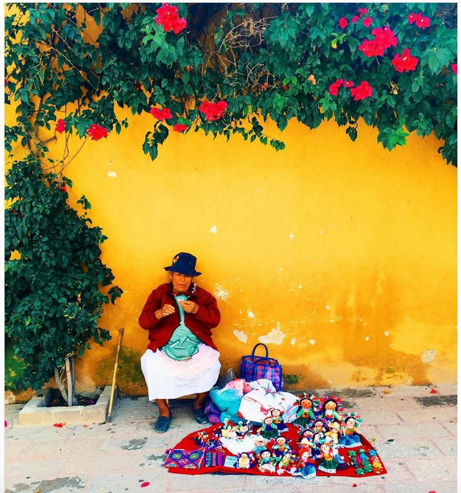 mexico_vivir's tweet photo. TEN WAYS TO MAKE AN ENVIRONMENTAL DIFFERENCE IN MEXICO https://t.co/OCbu4A52rW https://t.co/tkaHG8yrdy