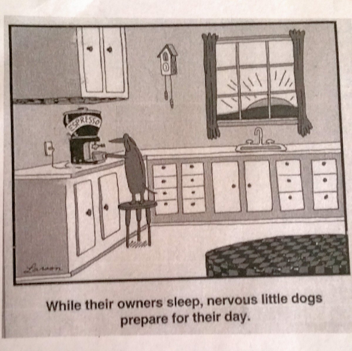 SweetRubyDoxie's tweet image. I'm not a morning dachshund. #dachshund