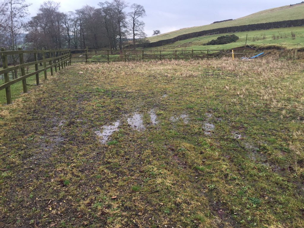 gb_groundworks's tweet photo. A diy wood chip arena / Menage vs a professional installed sand rubber mix #EquineHour #HorseHour https://t.co/yq7PZv7Qye