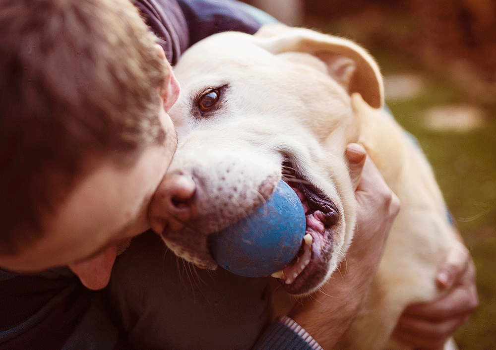 HarvardHealth's tweet photo. The positive effects your #dog has on your health: https://t.co/AQzzEM42DP  #Harvardhealth https://t.co/i2jZkJLoNX