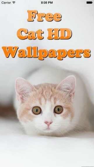 TeamProApps's tweet photo. #Free #Cats HD Walls: https://t.co/UViwWDmtD9 #CatsOfTwitter #cats #CATSGiveBack #catsofjihad #California #iPhone https://t.co/KlhLHdUvZK