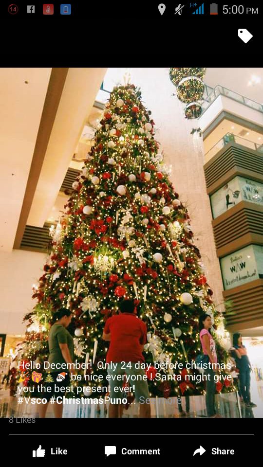 ItsmeJasMae's tweet photo. Dama ko na si CHRISTMAS!! https://t.co/dLBno7gd8z