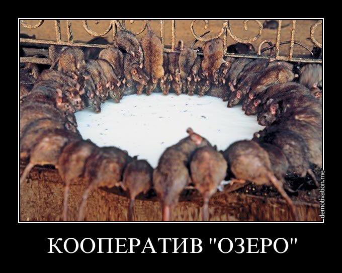 В Европарламенте призвали Россию выполнить минские соглашения - Цензор.НЕТ 6278