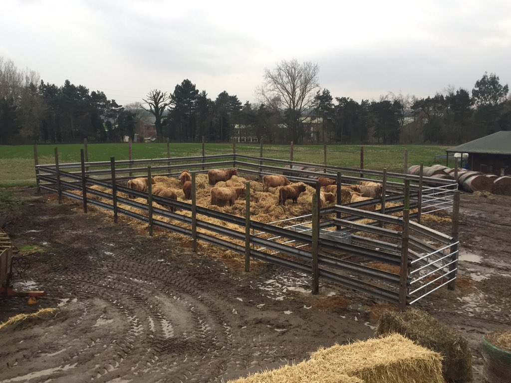 EastonOtley Farms tweet media