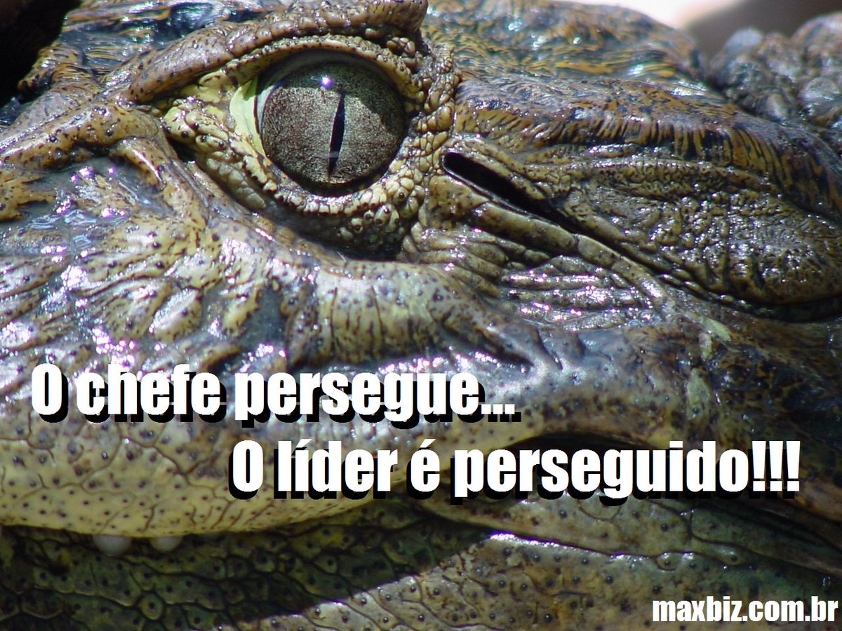maxbiznow's tweet image. maxbiz.com.br/lideranca/
#maxbiz