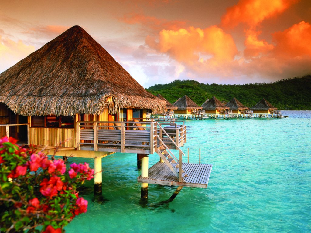 travelvxbes's tweet photo. take me to Bora Bora https://t.co/Q8kT6hCHHf