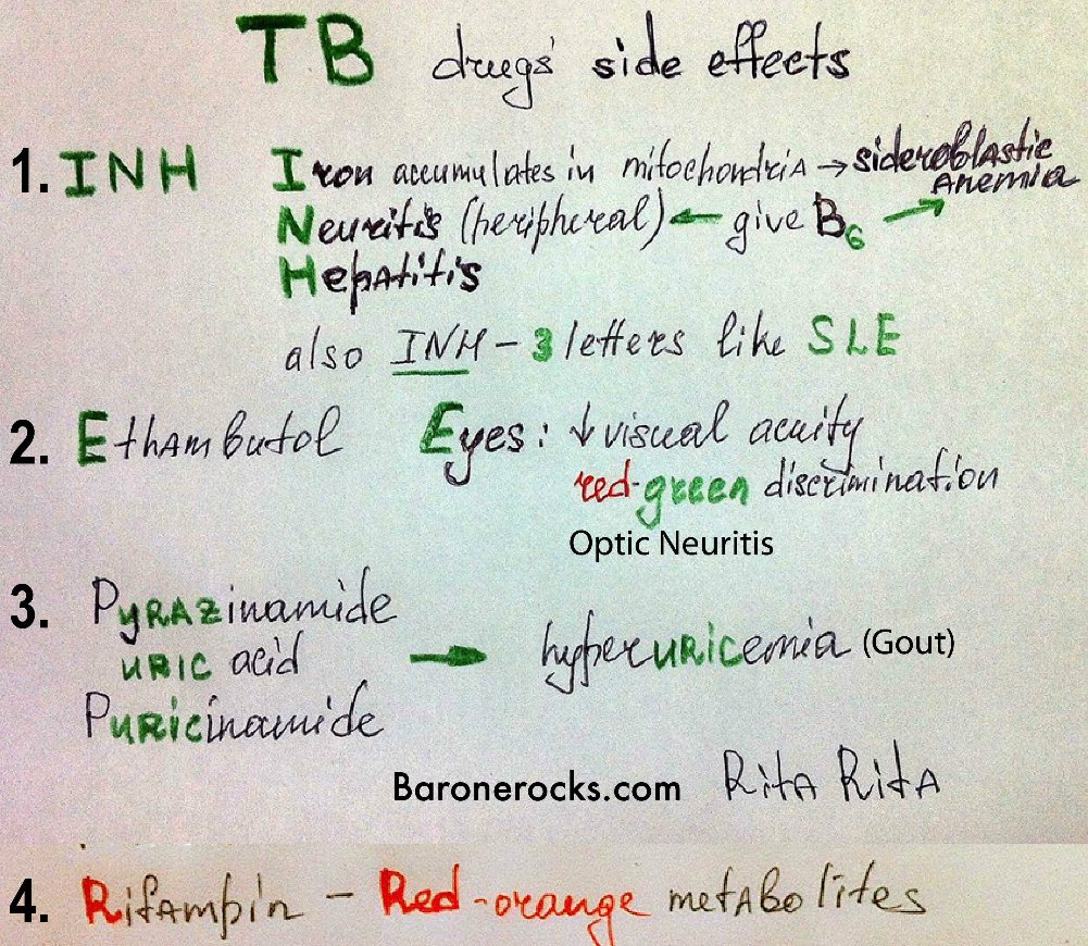 Pharmaceutics Free Full Text New Ways To Treat Tuberculosis Using Dendrimers As Nanocarriers Html