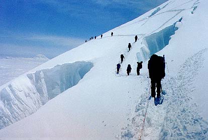 Mountain Rainer NP tweet media