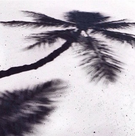Playaproducts's tweet photo. 🌴 #playalife 🌴 https://t.co/RYUJgLdiDV