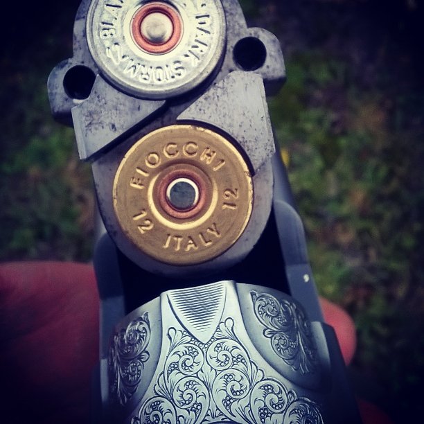 speckywright's tweet photo. On the pigeons #pigeonshootinguk #uk #12gauge #12bore #fieldsport #winterwheat https://t.co/Cs6Nmzn3nX