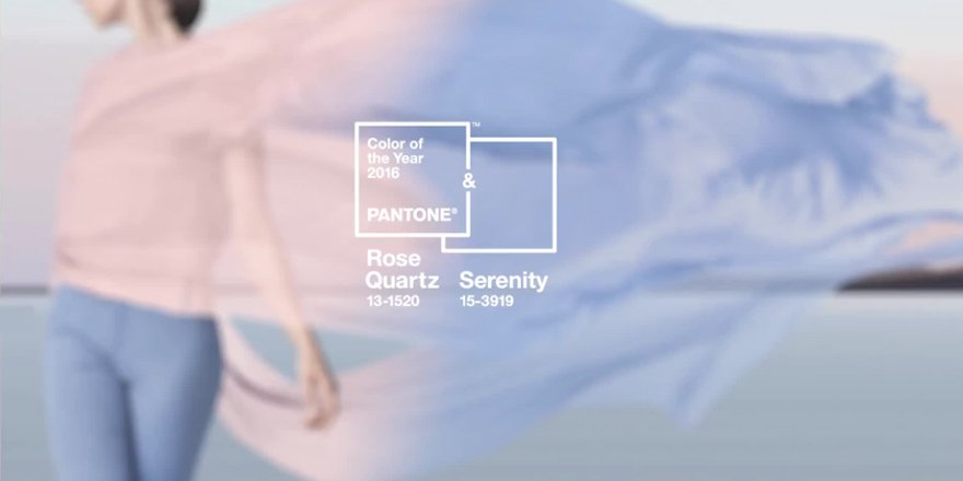 DomingoCommunication tweet media