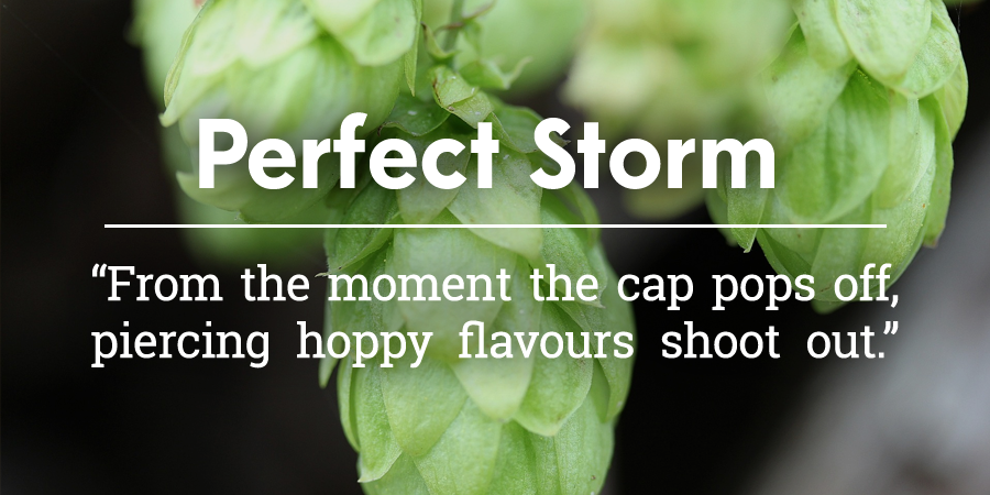 BrewskiToGo's tweet photo. We tasted @WilliamsBrewery's Perfect Storm.

What did you all think?

Read the review: https://t.co/E4vPgsfHaf https://t.co/l0ui6Pxc7d