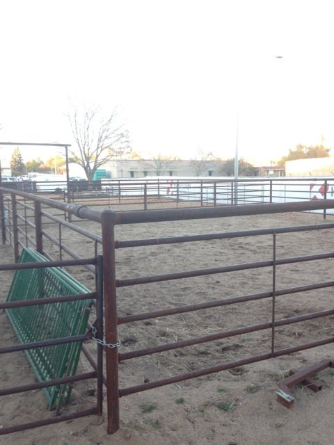 Here's a sneak peek at some silent auction items at CSU's One Last Dance December 5, at 7! Hope to see you there!