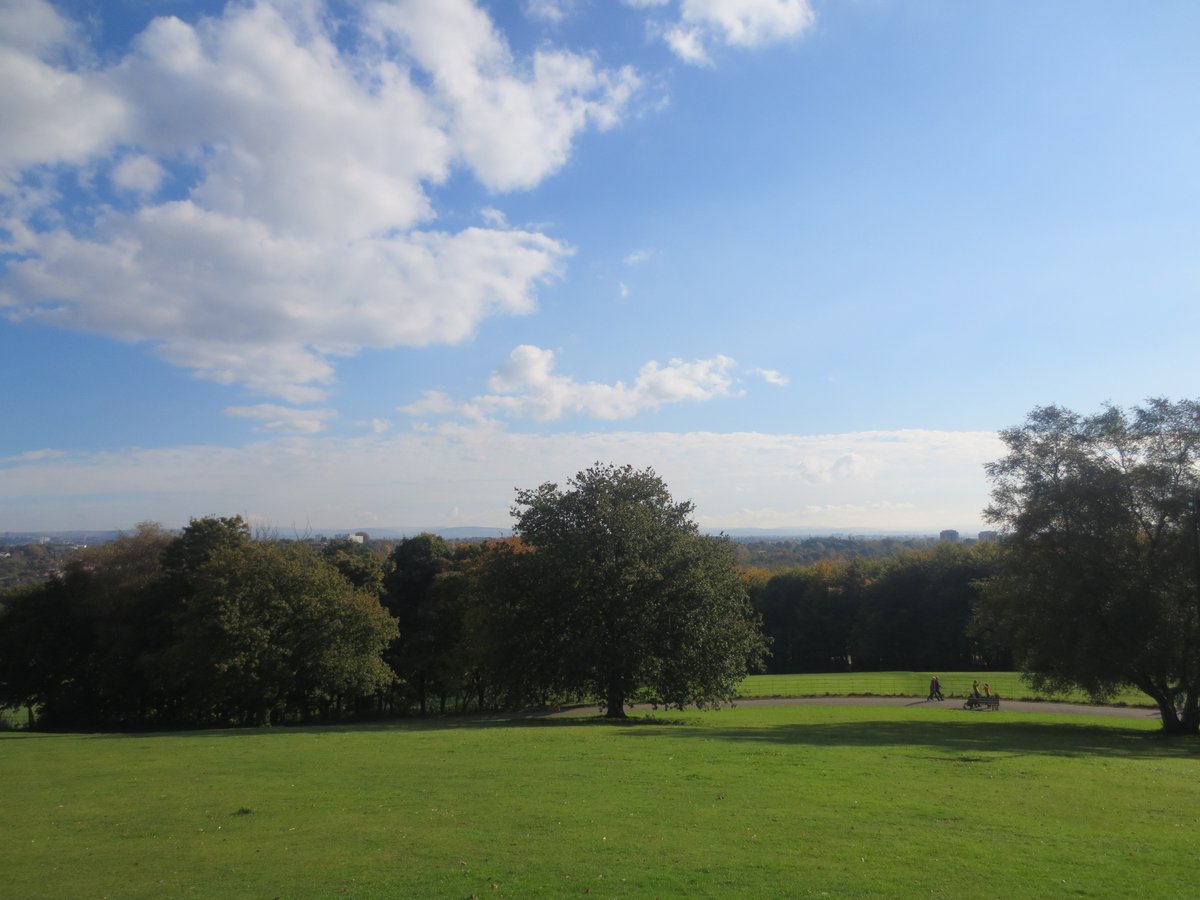 ICYMI: Could Heaton Park soon be home to a treetop aerial adventure?
timeout.com/manchester/blo…