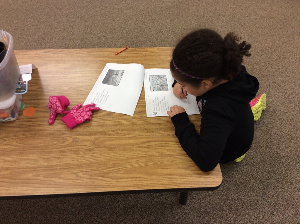 malapontia's tweet photo. First grade doing research on animals from the book The Mitten. @LE_ESSD40 https://t.co/elrA5Qe0m8