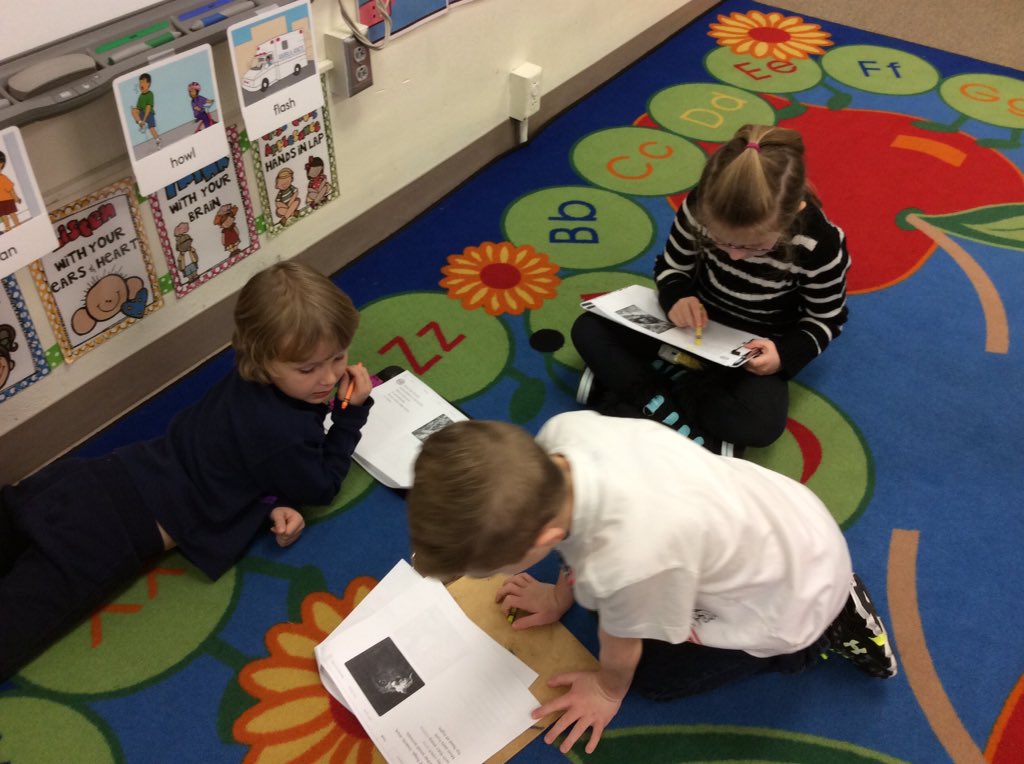 malapontia's tweet photo. First grade doing research on animals from the book The Mitten. @LE_ESSD40 https://t.co/elrA5Qe0m8