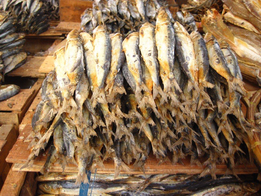 JennySelgrath's tweet photo. Glad to see big improvement in #seafood labeling https://t.co/DZ4nb6iRK3 #technologyforconservation #oceanoptimism https://t.co/BtYNP2LRmN