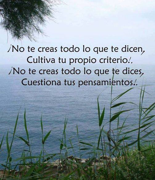 Pensamientosalu's tweet photo. https://t.co/y4GOKXWB8X