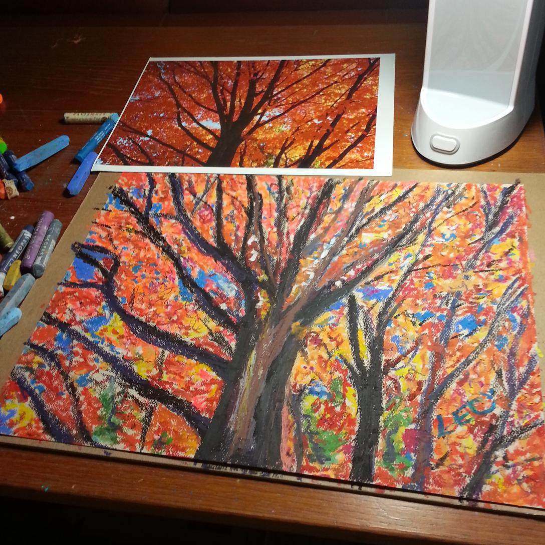 #poem 
As a tree
grows with branches
so does my life - L E Clements 
<a href="/celticqueen7/">Kathleen Mode</a> <a href="/lensweet/">Leonard Sweet</a> @sonnybees