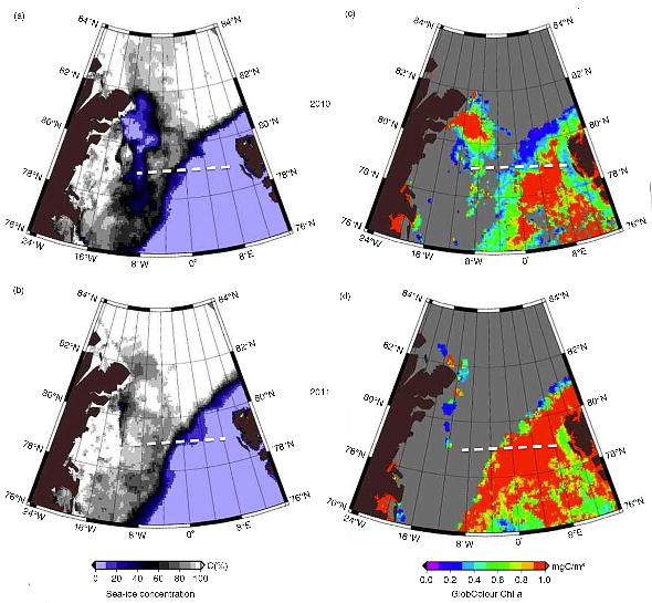 PolarResearch's tweet image. (a, b) Sea-ice concentration and (c, d) chlorophyll concentration #FramStrait #ArcticOcean ow.ly/VkSeB