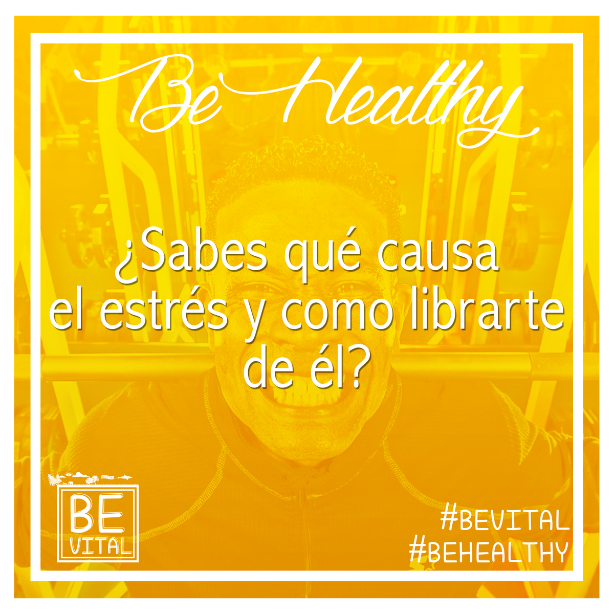 bevitalco's tweet photo. ¿Qué causa el estrés? Entrenamiento excesivo, ayunas prolongadas... Mira más aquí: https://t.co/wTzyH0kmgv https://t.co/KU3GkDxhqN