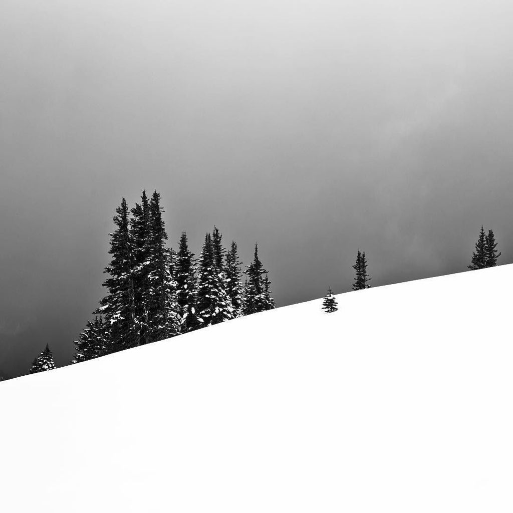 chinookpassnews's tweet photo. At https://t.co/cWRD1inTaa -- #mountrainier #mtrainier #nationalpark #pnw #PNWcoast #pacificnorthwest #upperleftus… https://t.co/cKcZ1tH9L1