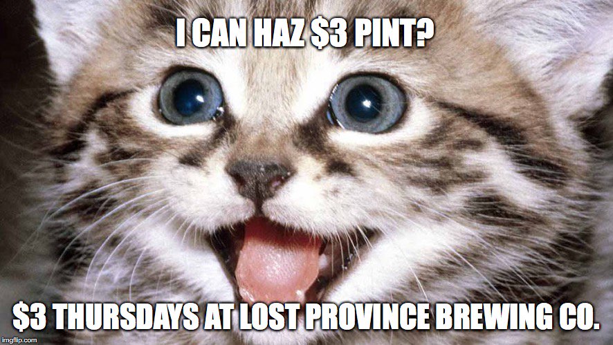 LostProvinceBrewing tweet media