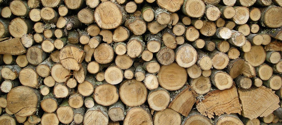 Romanrivertrees's tweet image. Chop chop! We have yard full of seasoned oak logs ready to go up in smoke! #logs #colchester romanrivertrees.co.uk/news/2015-12-0…