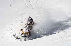 redbull tweet picture