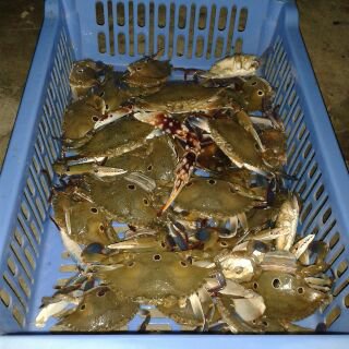Azkar_Fauzi's tweet photo. Begadang nonton flm #Thailand sambil makan mie bing(Tuan crab)
#Makyus https://t.co/VVG3WvuyOI