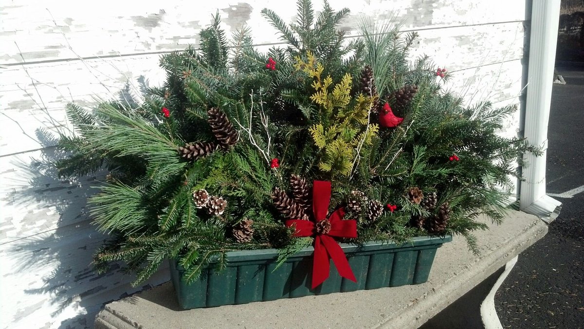 JKrokusNursery's tweet photo. Another special order complete! Natural beauty. Done by @tyedyemama #windowbox #wintercontainer #decorateoutside https://t.co/eakujFiuk9