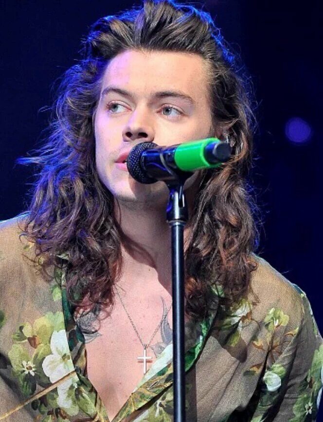 harry's hair (@hesprettyhair) on Twitter photo 