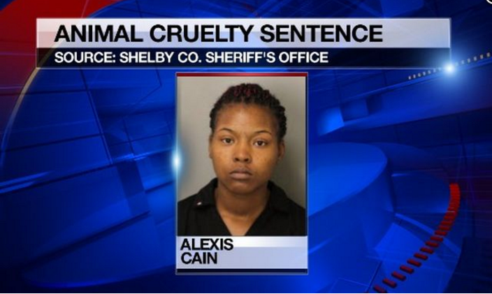 Woman Gets 2 Years in Jail for Hot Car Death of Dog puls.ly/YUIEpA